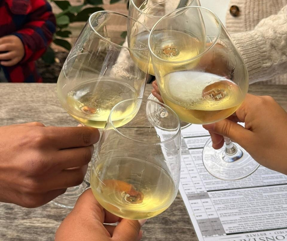 Groot Constantia-康士坦提亚必去景点