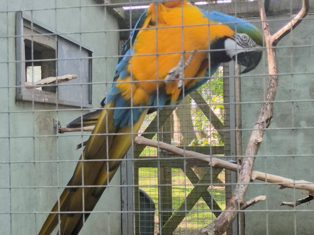 Bridlington Animal Park-布里德灵顿必去景点