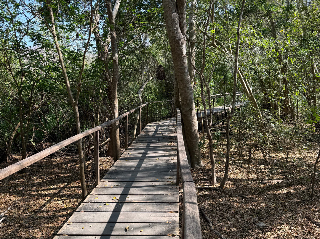 Lamby Tours Huatulco-瓦图尔科必去景点