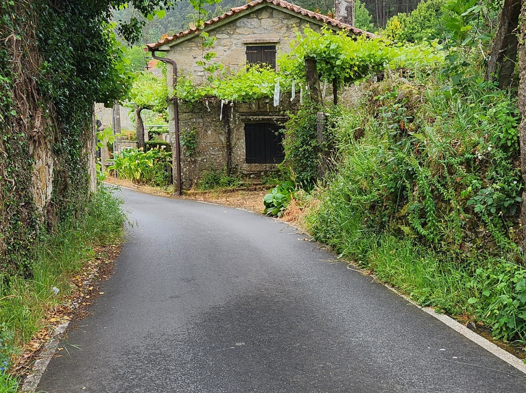 Footfalls Walking Holidays-Roundwood必去景点