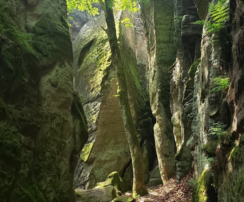 Prachov Rocks-Jicin必去景点