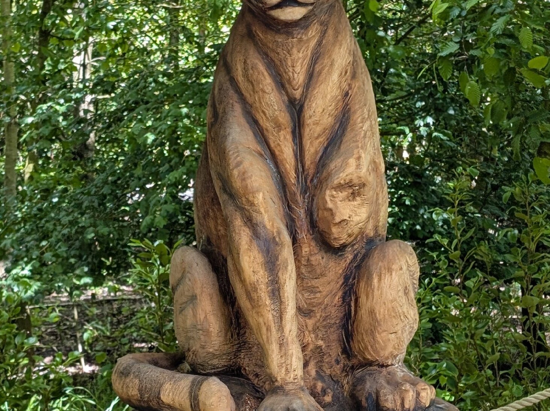 Lincolnshire Wildlife Park-Friskney必去景点