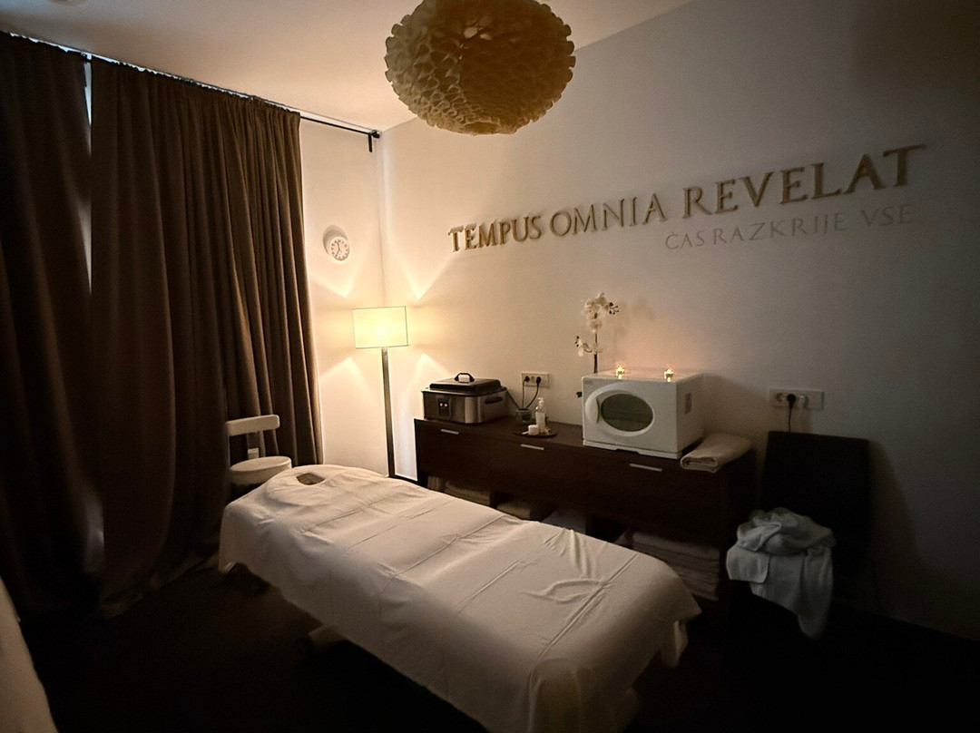 Rimske Terme-Rimske Toplice必去景点