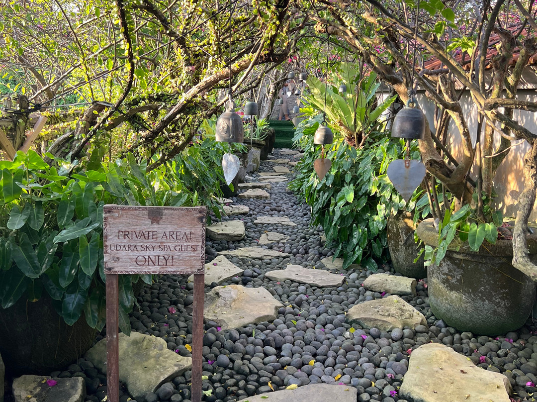 Udara Bali Yoga Detox & Spa主图