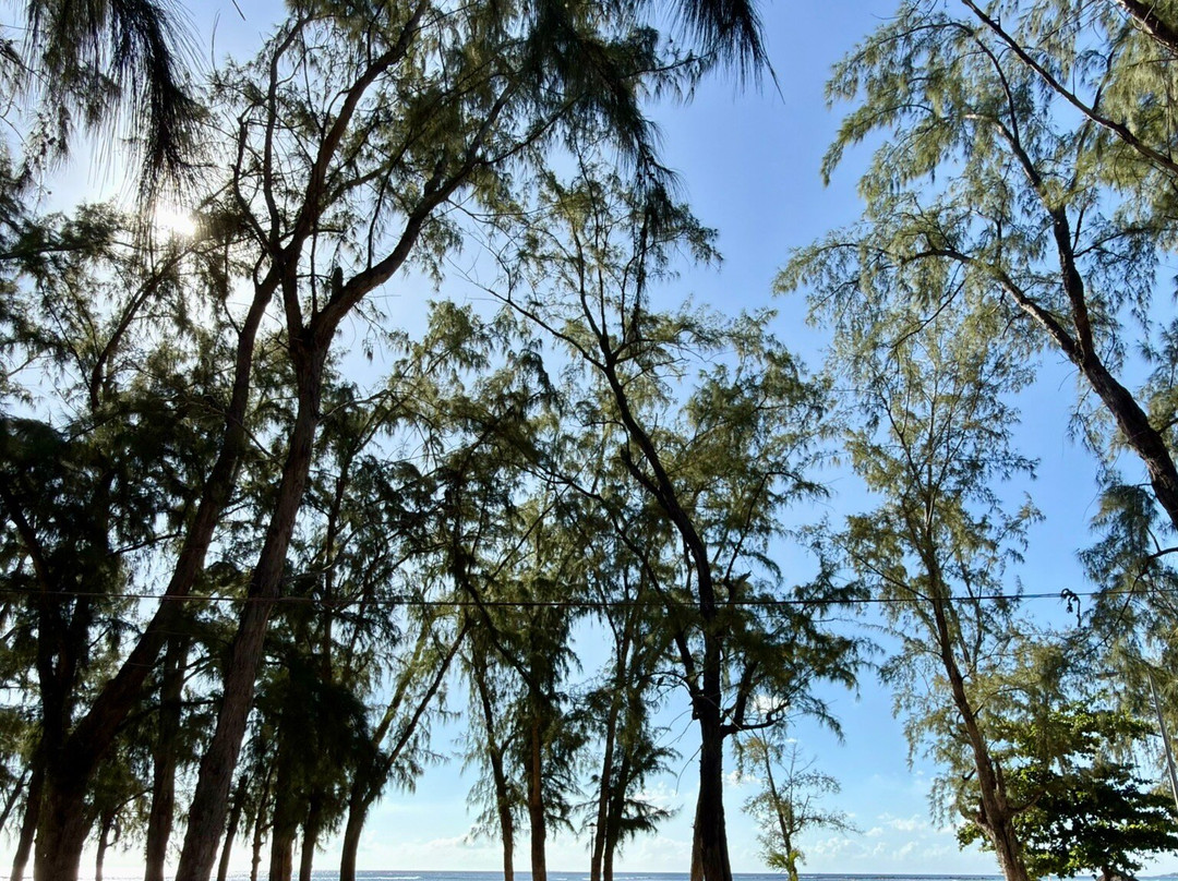 弗利康弗拉克海滩-弗力克昂弗雷克必去景点