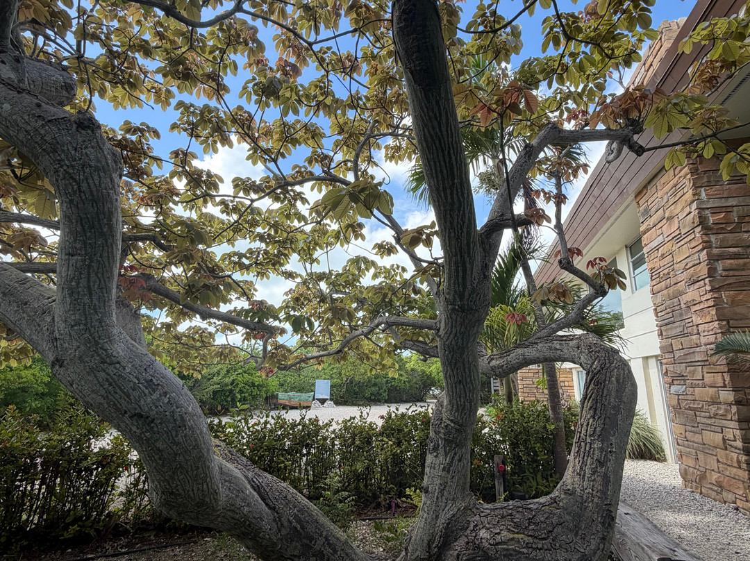 Crane Point Museum & Nature Center-马拉松必去景点