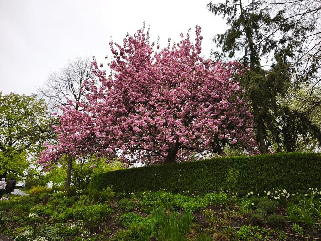 Vysehrad Park-布拉格必去景点