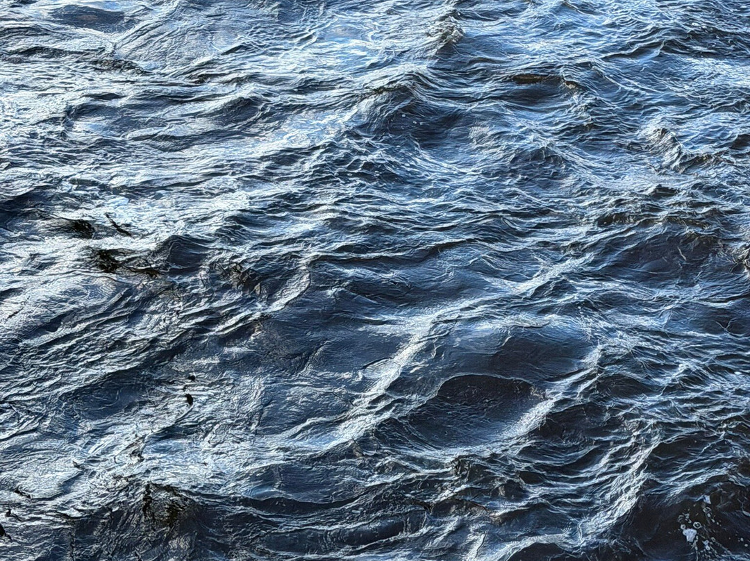 Kakabeka Falls-Kakabeka Falls必去景点