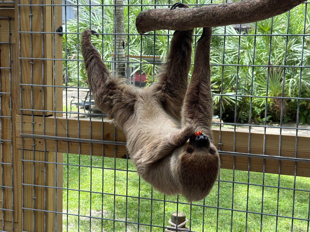 McCarthy's Wildlife Sanctuary-西棕榈滩必去景点