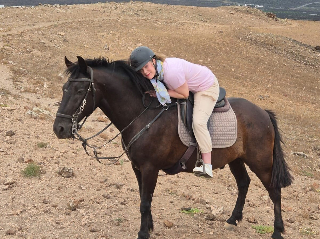 Lanzarote a Caballo-兰萨罗特必去景点