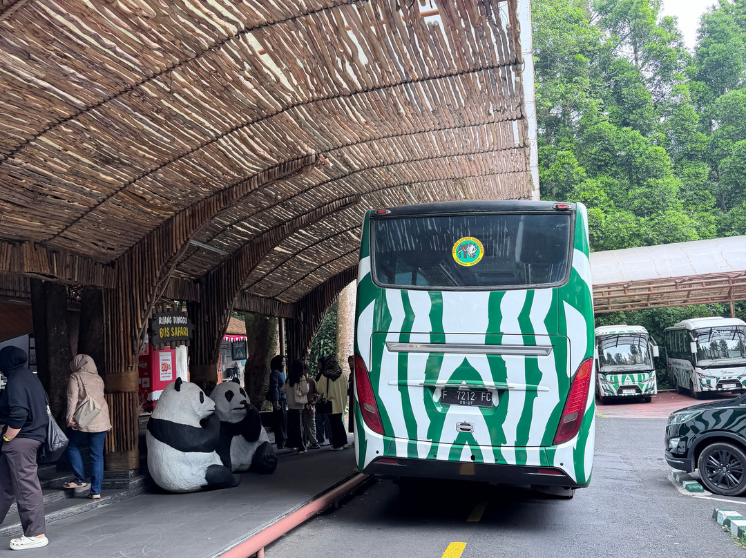 Taman Safari Indonesia Bogor-Cisarua必去景点