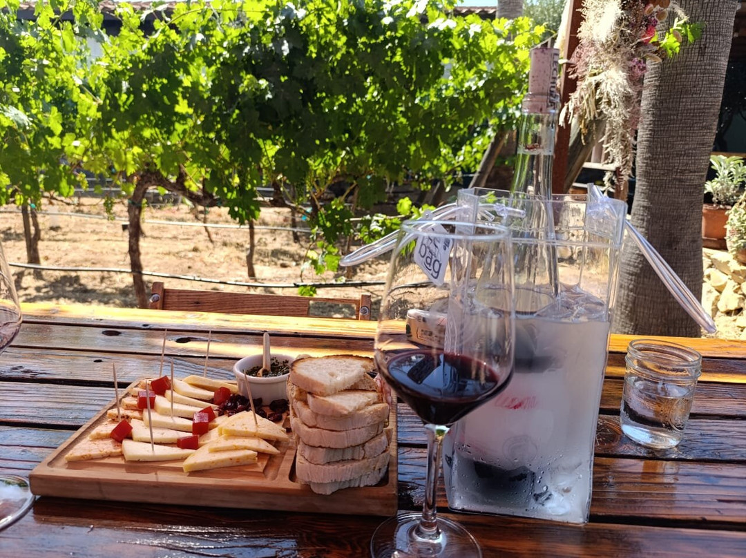 Lechuza Vineyard-Valle de Guadalupe必去景点