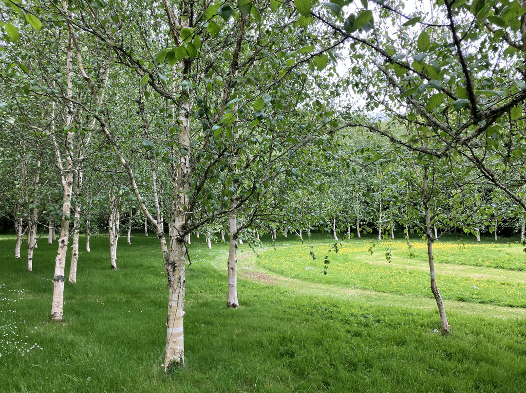 Bonython Estate Gardens-赫尔斯顿必去景点