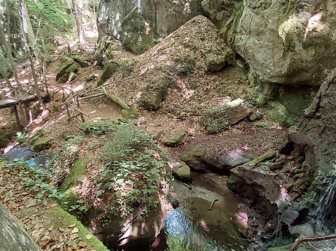 Parco Vivo Toscana-Vivo d'Orcia必去景点