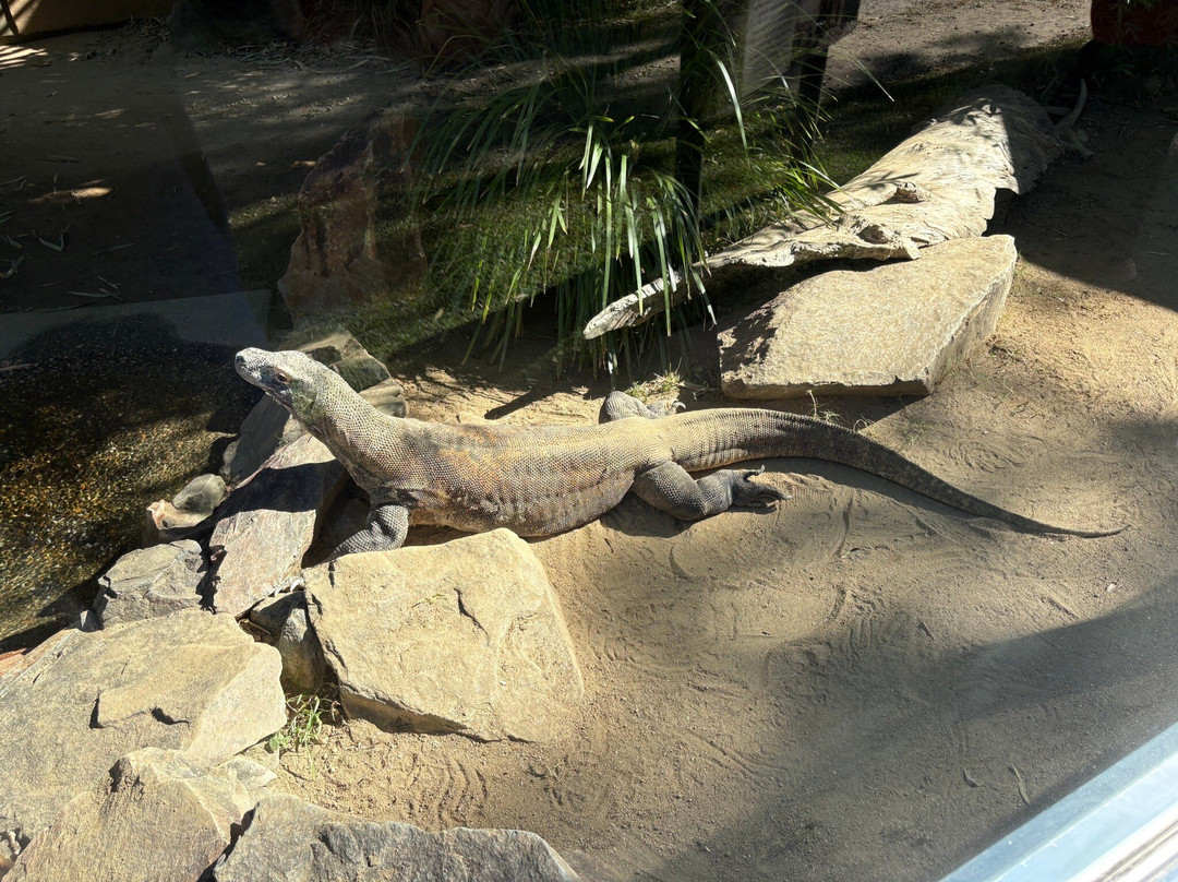 Hartley's Crocodile Adventures-Wangetti必去景点