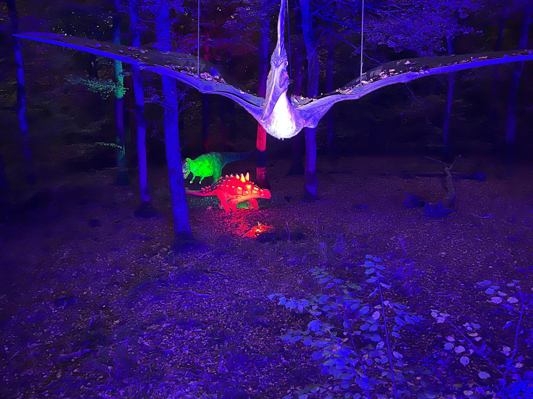 Dinosaurierpark Teufelsschlucht-Ernzen必去景点