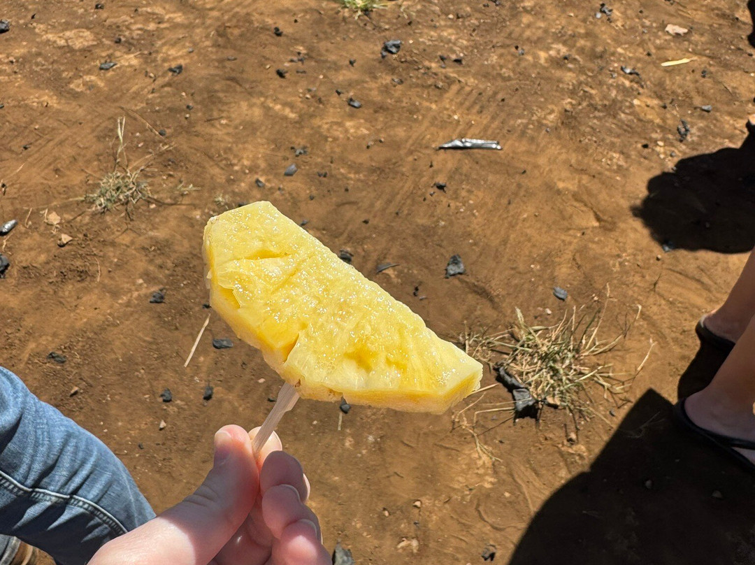 Maui Pineapple Tour-马卡瓦必去景点