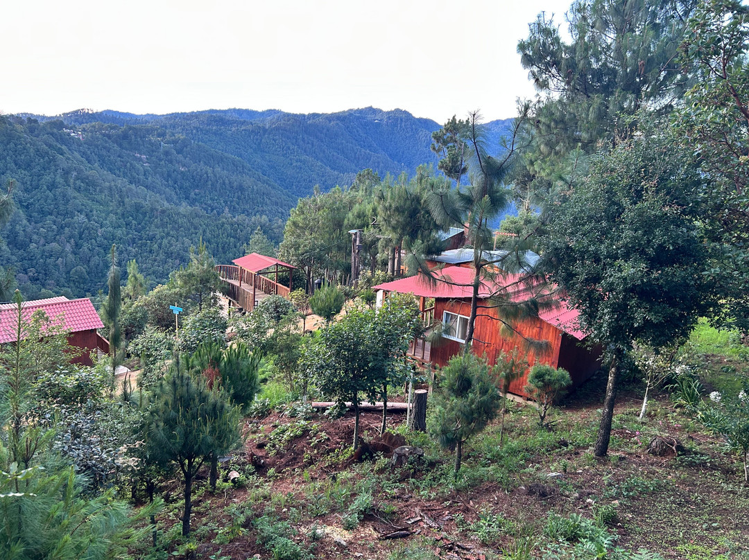 Jar8's Tours-Nanchital de Lazaro Cardenas del Rio必去景点