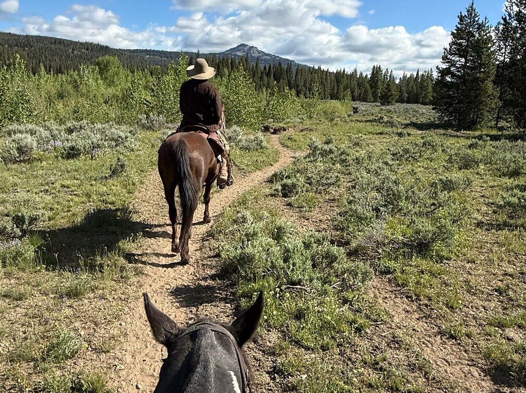 Swift Creek Outfitters & Teton Horseback Adventures-莫兰必去景点