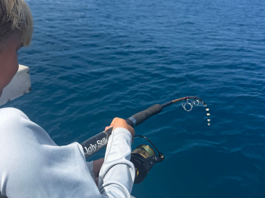 Paradise Fishing Charters-Cape Haze必去景点