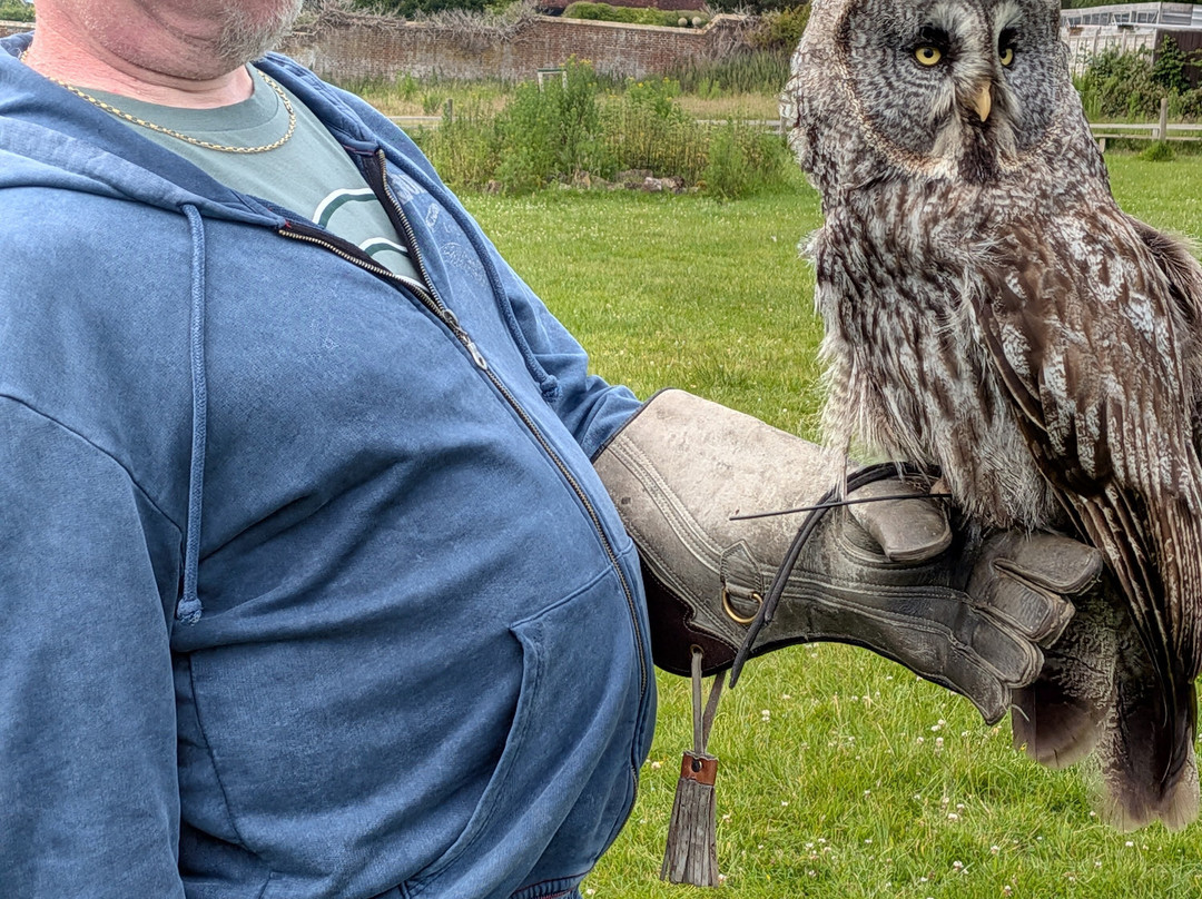 UK Owl And Raptor Centre-Groombridge必去景点