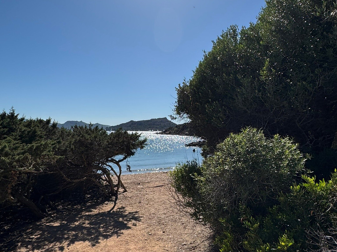 Spiaggia Porto Palma-Caprera必去景点