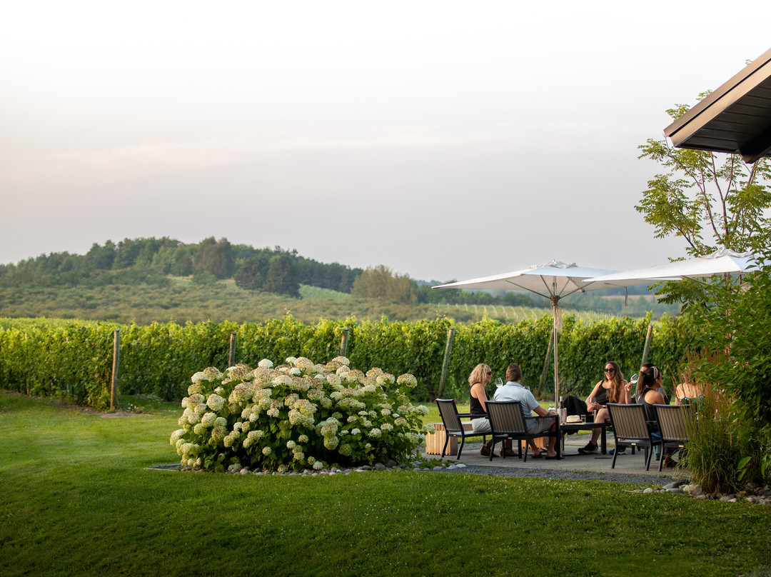 Blustone Vineyards-Lake Leelanau必去景点