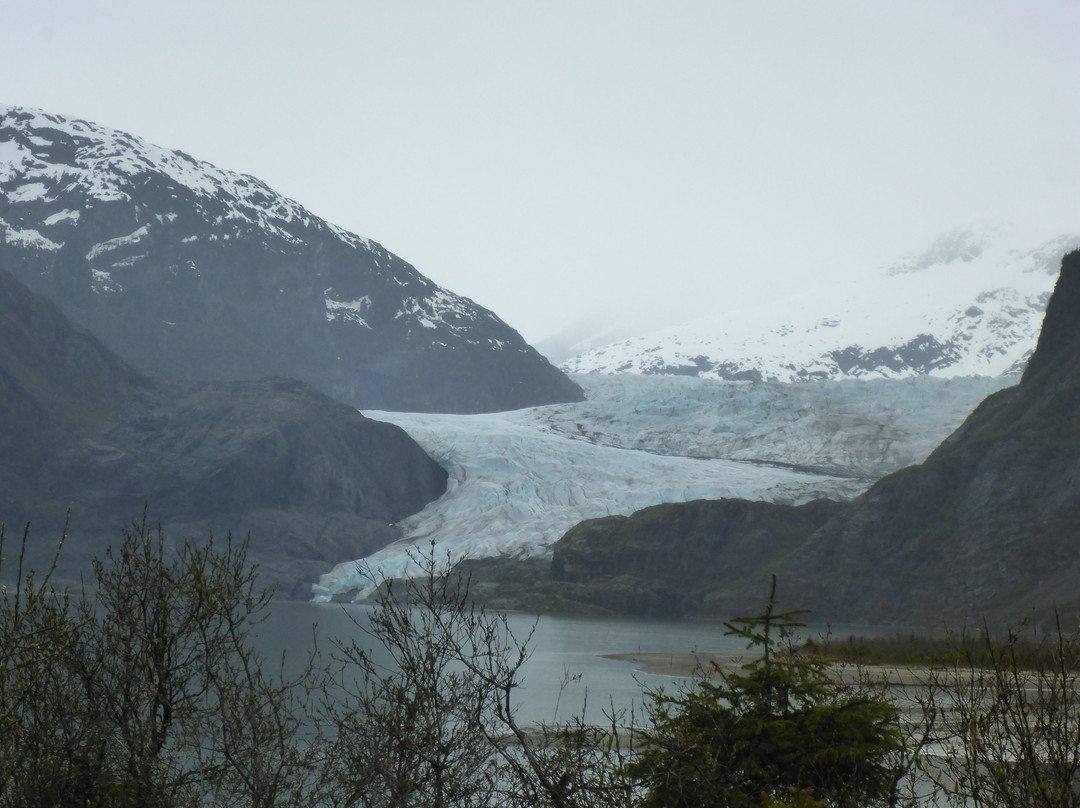 Mendenhall Glacier-朱诺必去景点