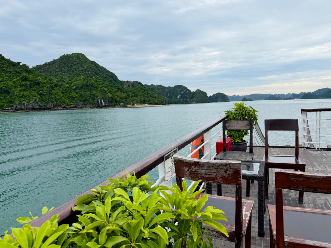 Orchid Cruises-下龙湾必去景点