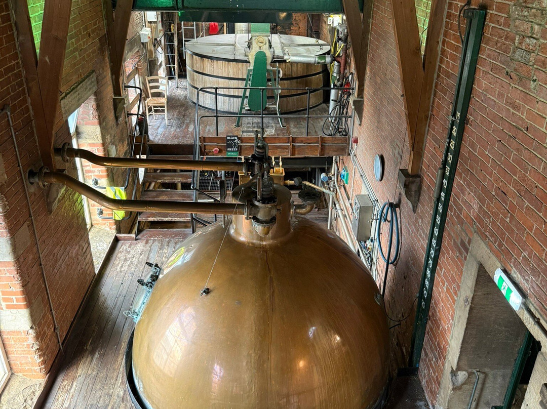 The Black Sheep Brewery-马沙姆必去景点