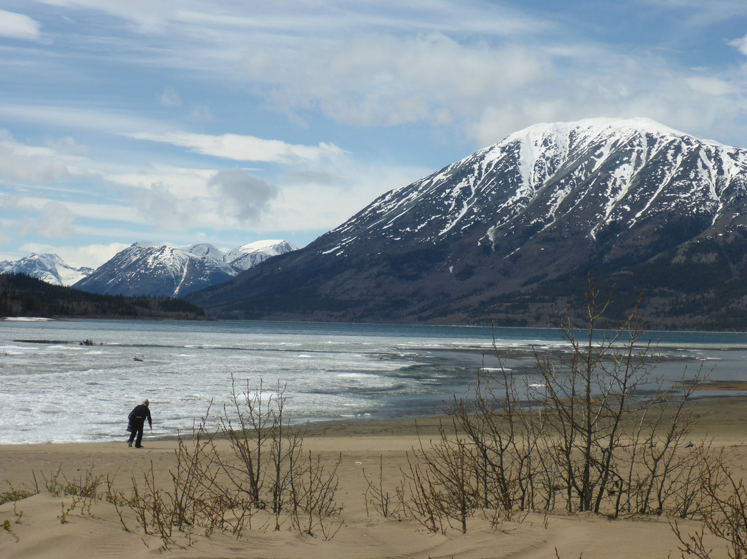Carcross Commons-Carcross必去景点