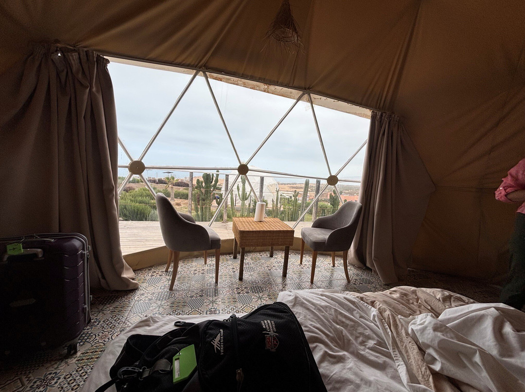 Timlaline Domes