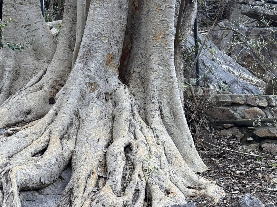 The Baths-Citrusdal必去景点