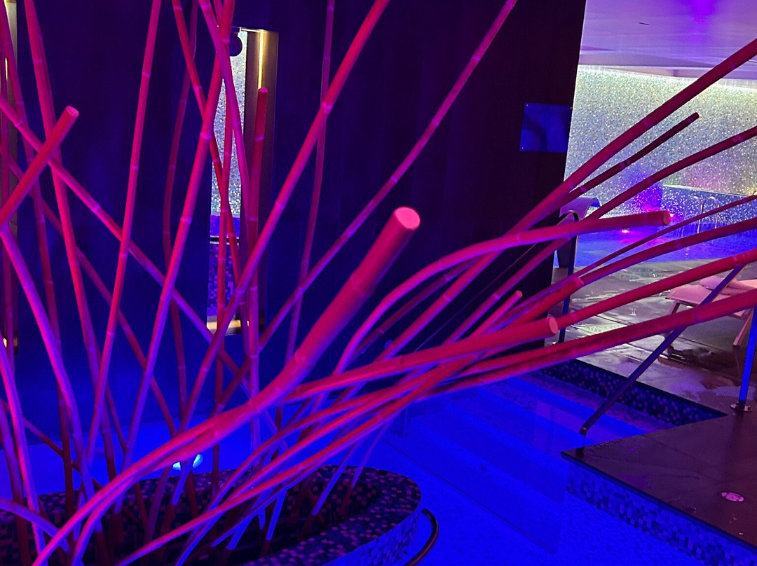 瑞莱斯伯纳德洛伊瑟酒店主图