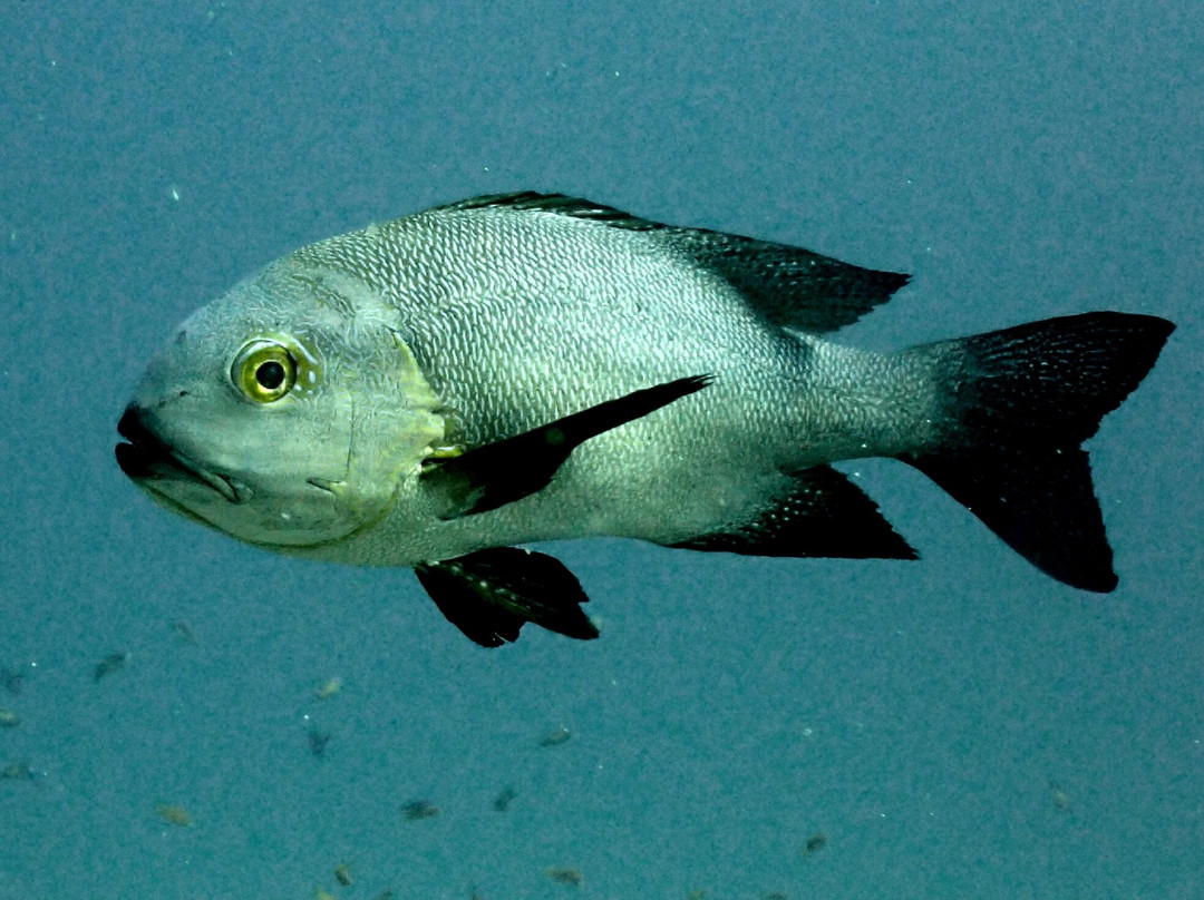 Acqua Adventures Rasdhoo-拉斯胡必去景点