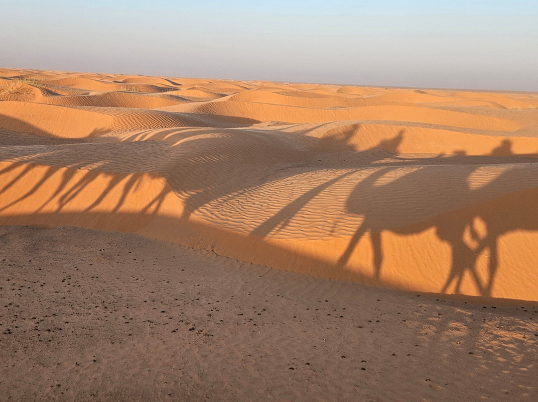 GSA-VOYAGES - Grand Sahara Aventures-杰尔巴岛必去景点