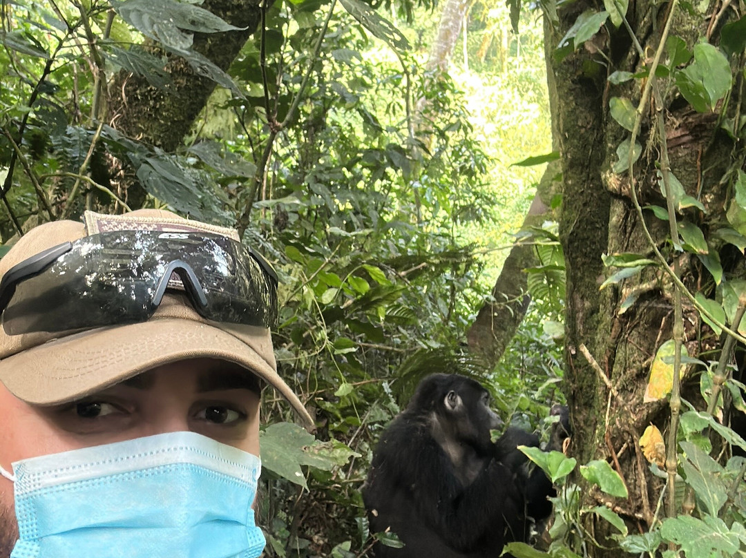 Go Gorilla Trekking-吉佳利必去景点