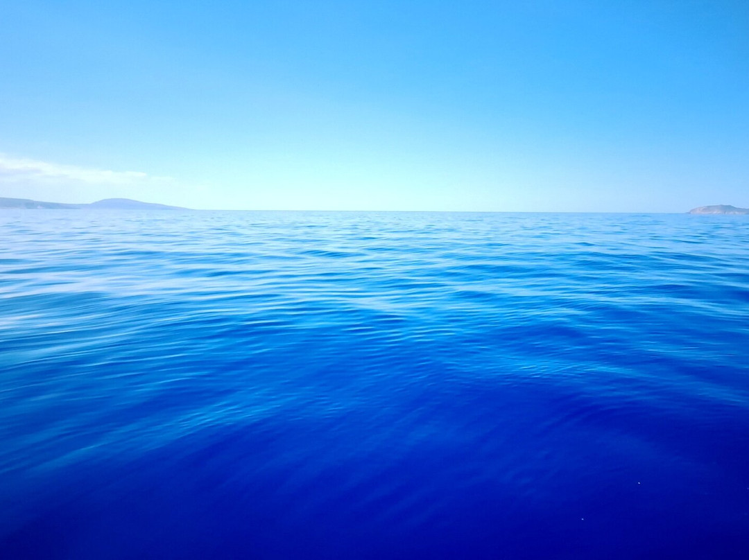 Fishing trips Manthos Agia Galini-Agia Galini必去景点