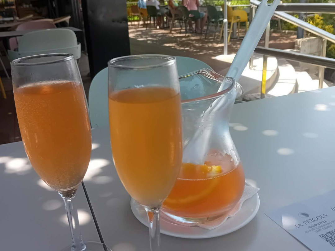 奥纳布拉瓦水疗酒店主图