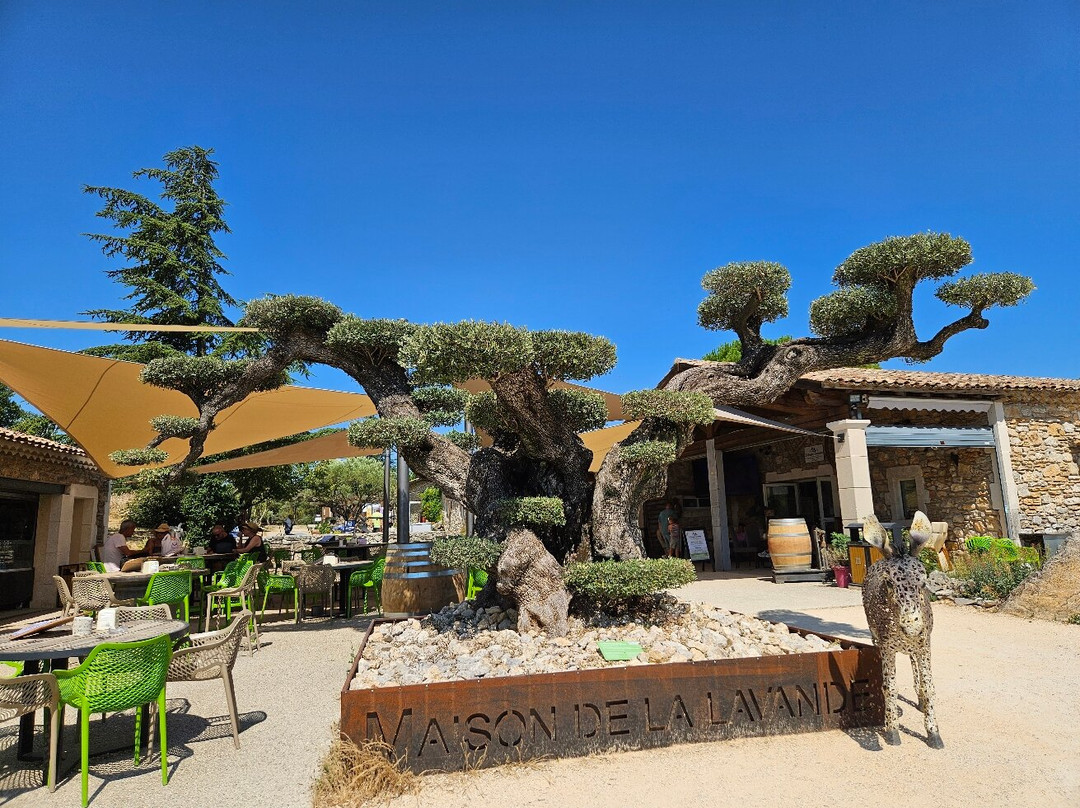 Maison de la Lavande - Domaine Lavandaïs-Saint-Remeze必去景点