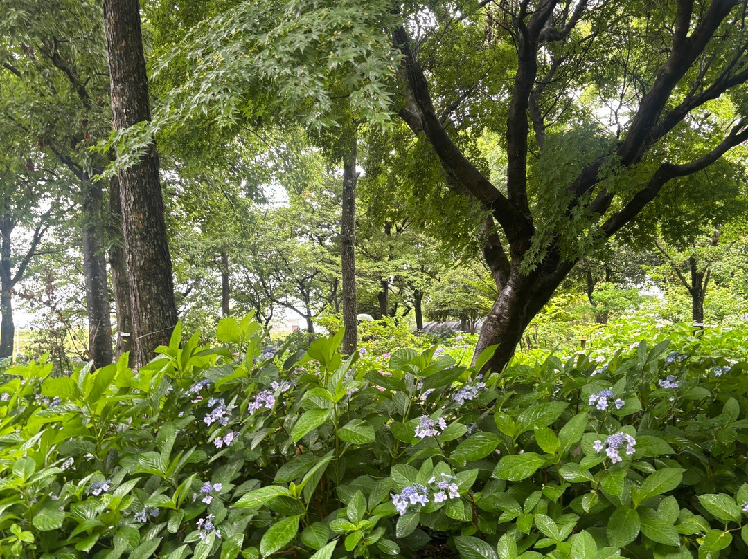 Moriyama Ashikarien Garden-守山市必去景点