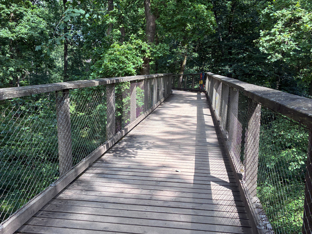 Treetop Path Saarschleife-Orscholz必去景点