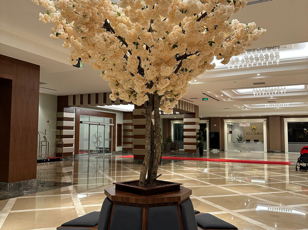 Alusso Thermal Hotel & Spa 阿鲁索温泉酒店及水疗中心主图