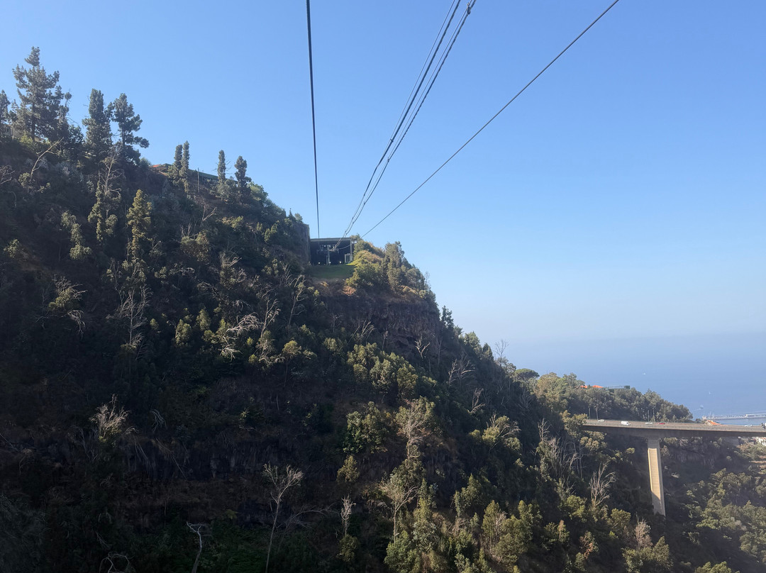 Botanical Garden Cable Car-沙尔必去景点