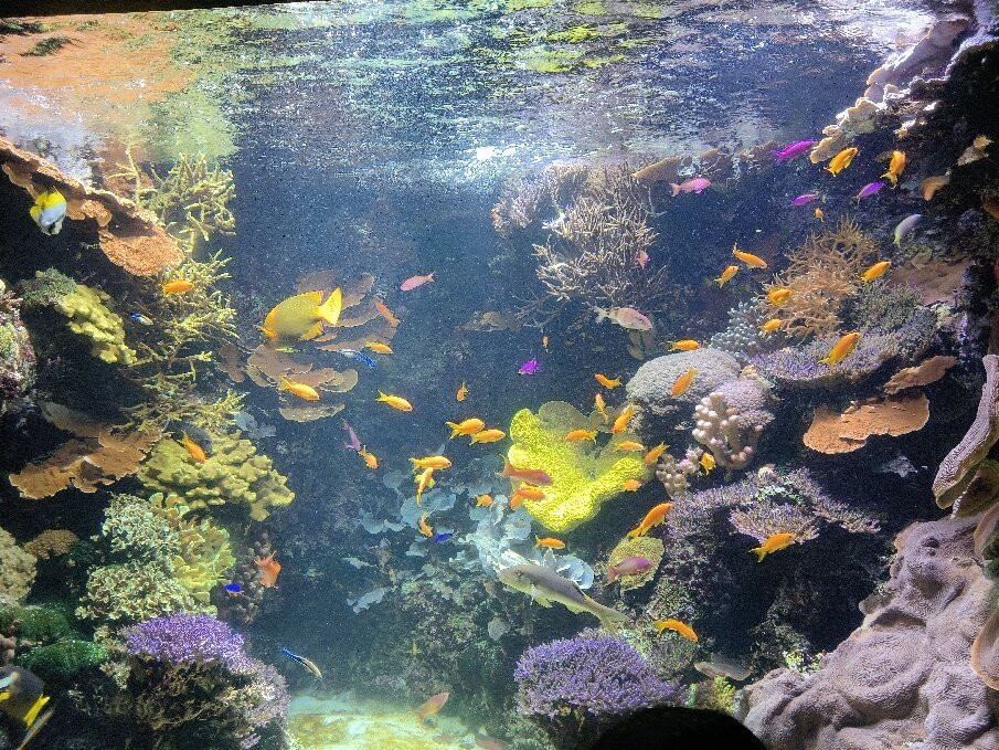 Aquarium La Rochelle-拉罗谢尔必去景点