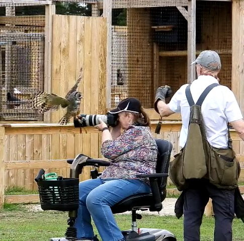 York Bird of Prey Centre-伊辛瓦必去景点