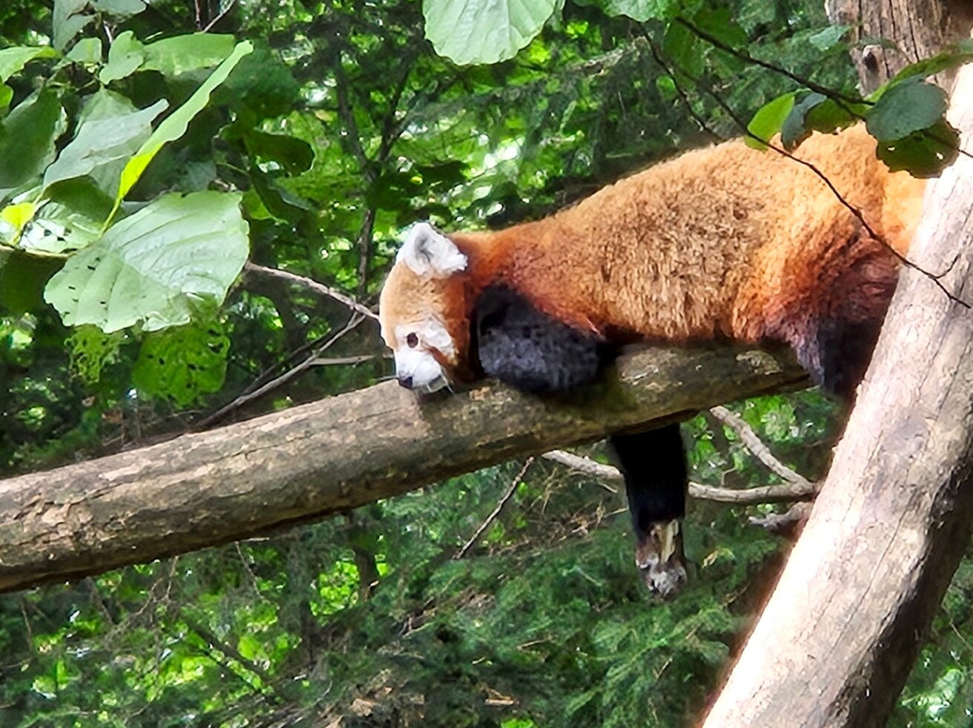 Zoo Ljubljana-卢布尔雅那必去景点