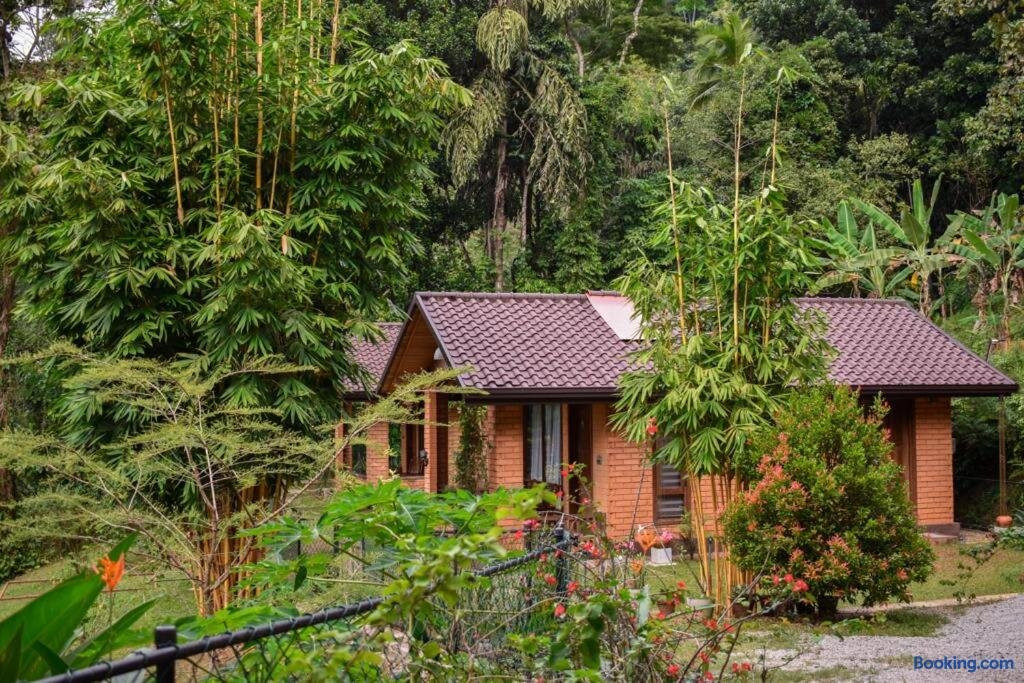 Mangi's Tranquil Bungalows