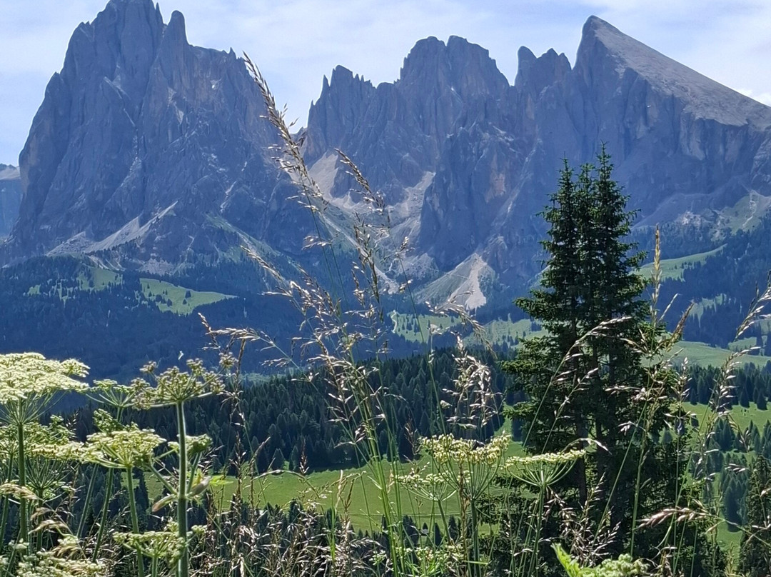 Funivia Ortisei Alpe Di Siusi-奥蒂塞伊必去景点