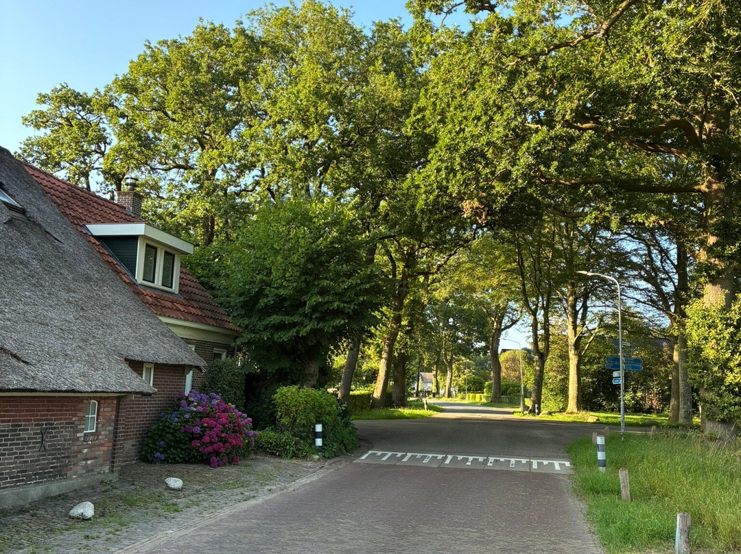Nationaal Park Drentsche Aa-老磨坊必去景点